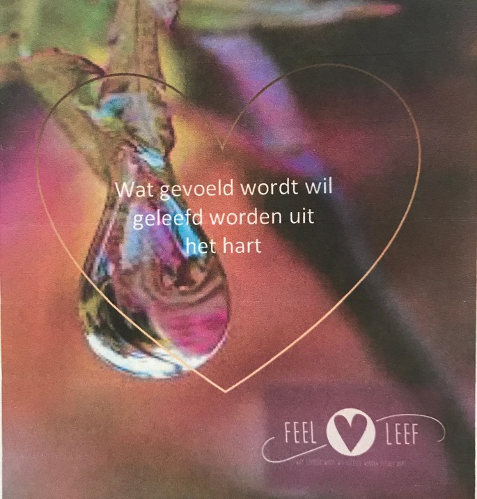 0250B279-2E3E-4523-A0A3-6704631D0E45